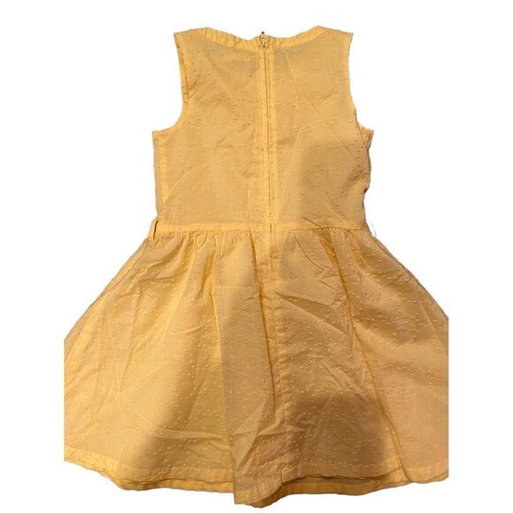 Crazy 8 Little Girl sleeveless Dress - Picture 6 of 11